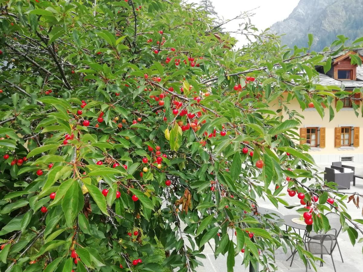 Villa Fridau Resort Gressoney-Saint-Jean Eksteriør billede